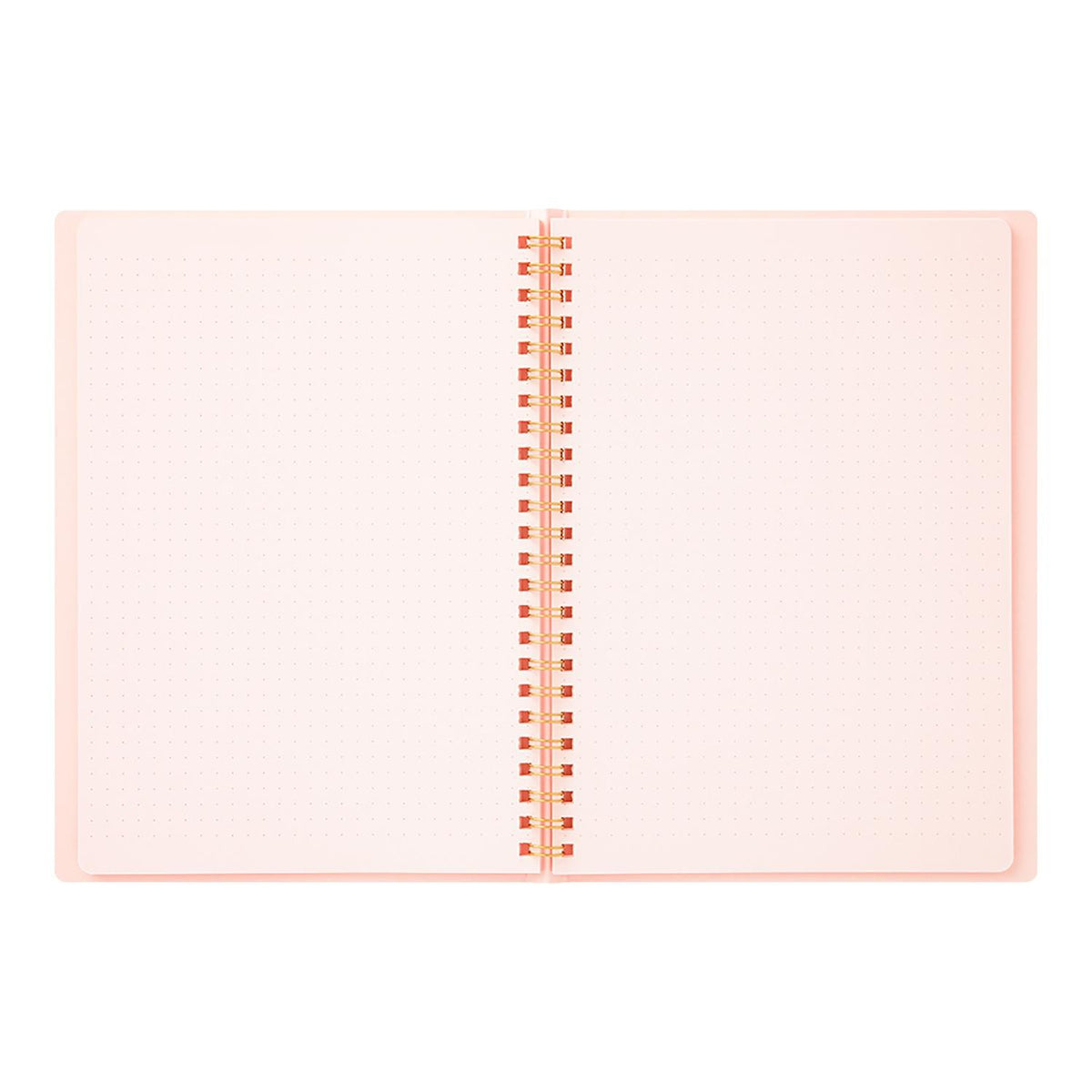 CUADERNO Ring notebook (A5) Color Dot Grid