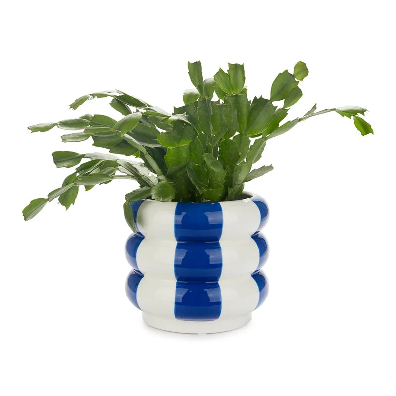 Maceta Floats Azul